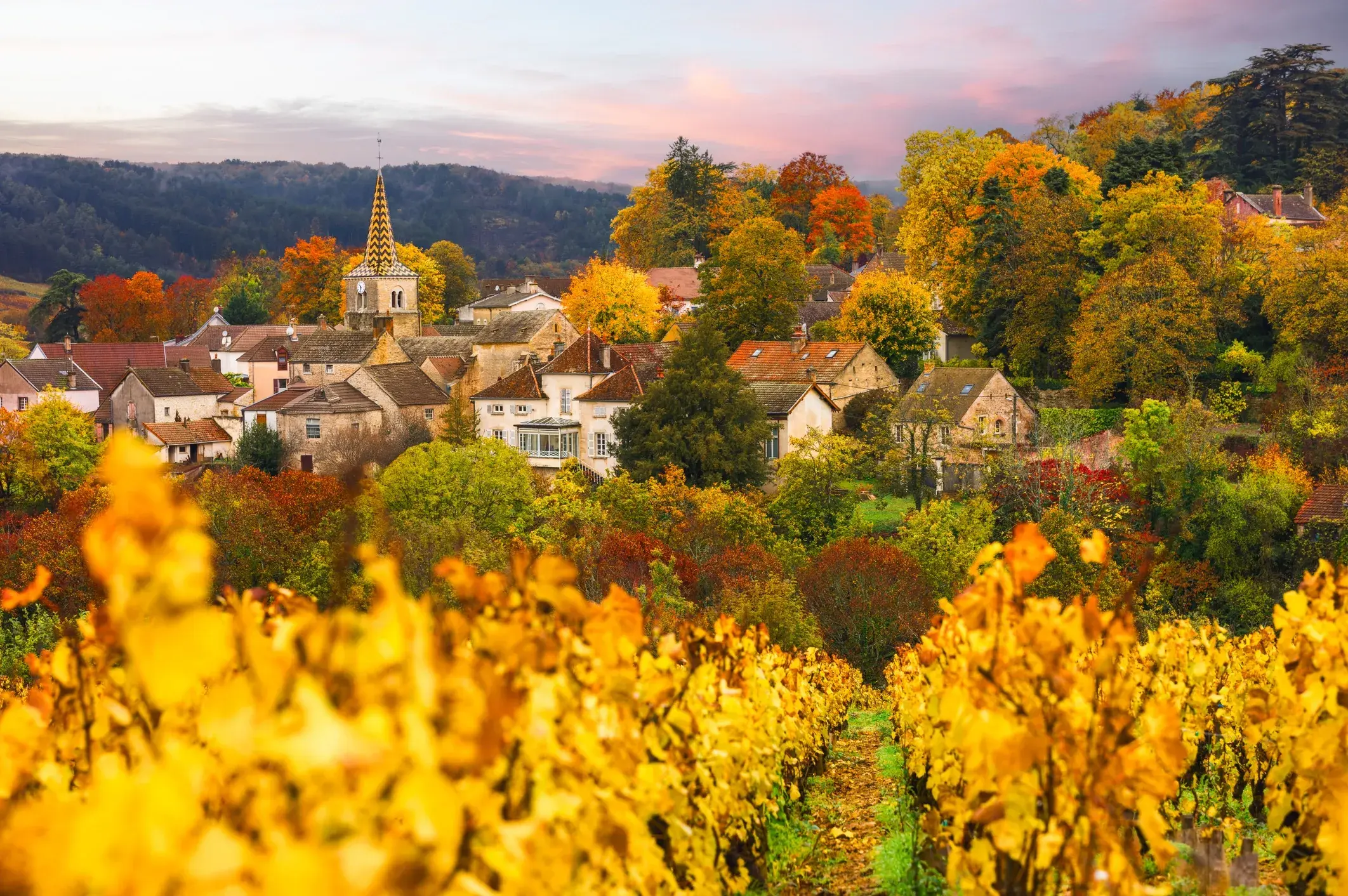 Image Bourgogne-Franche-Comté 